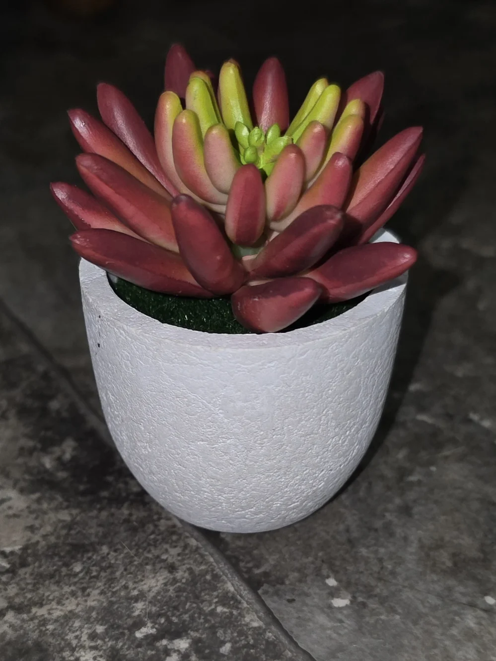 N/A artificial succulent